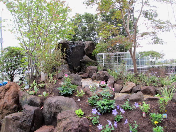 たくさんの種類の植物が植えてあります